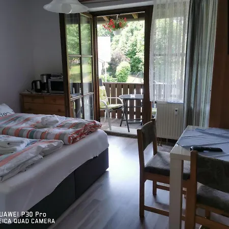 Aparthotel-chrysantihof - Aleksandra Apartment Zwiesel